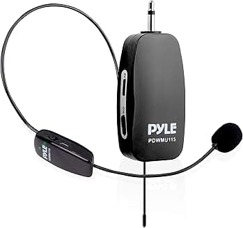 Wireless Microphone System for Karaoke, Conference, DJ