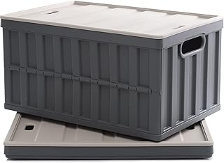 Large 64L Collapsible Storage Bins with Lids, 2 Pack