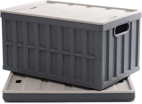 Large 64L Collapsible Storage Bins with Lids, 2 Pack