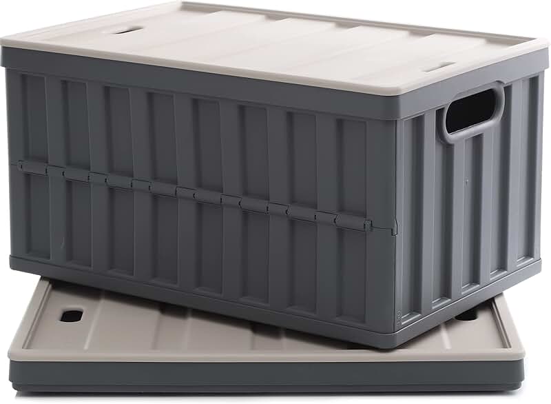 Large 64L Collapsible Storage Bins with Lids, 2 Pack