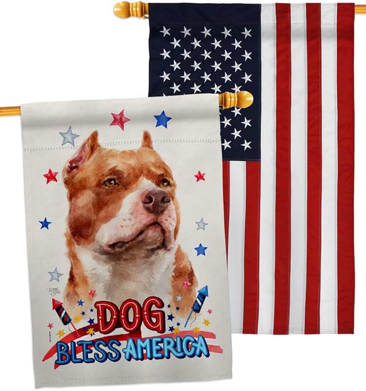 Patriotic Dog House Flag Pack for Garden Yard