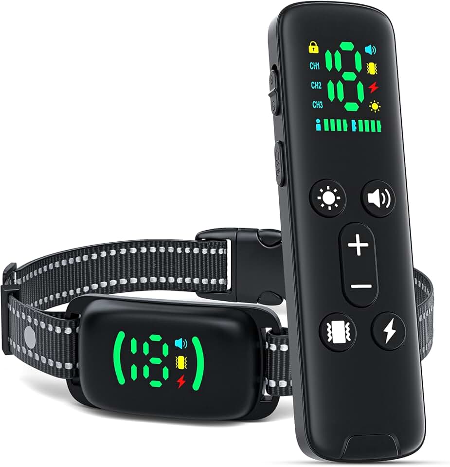 Dog Shock Collar with Remote for Medium to Large Dogs