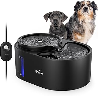 Water Fountain for Dogs and Cats with Filtered Water