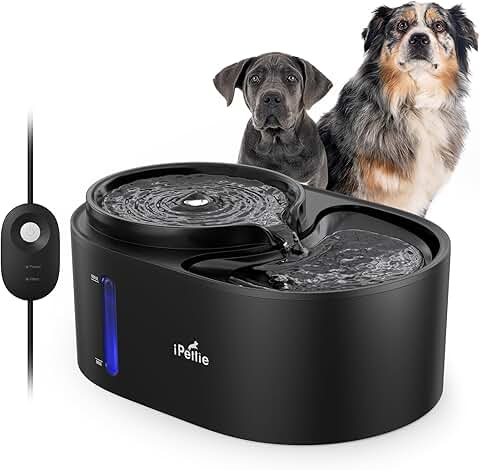 Water Fountain for Dogs and Cats with Filtered Water