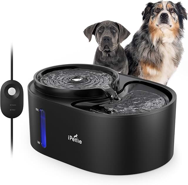 Water Fountain for Dogs and Cats with Filtered Water