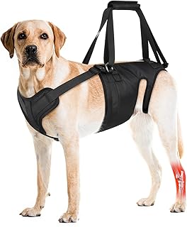 Dog Lift Harness for Large and Medium Dogs