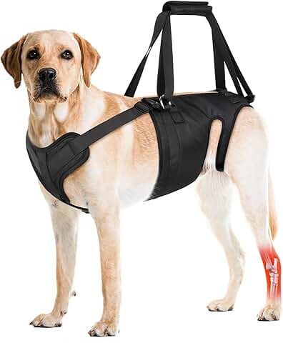 Dog Lift Harness for Large and Medium Dogs