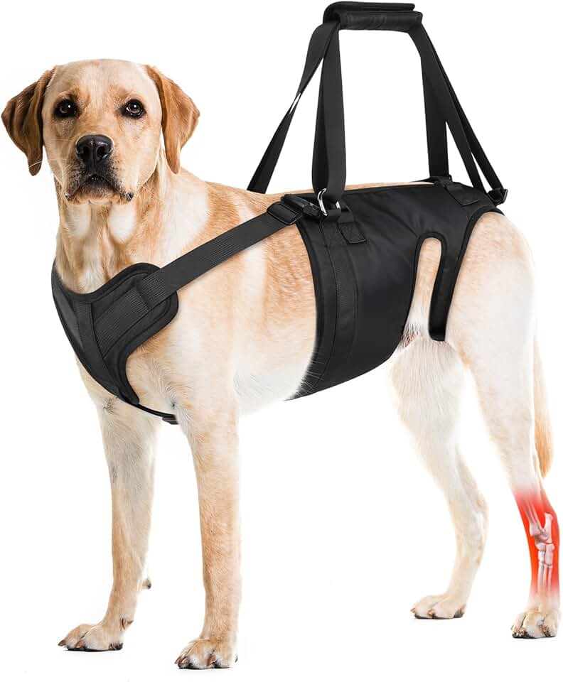 Dog Lift Harness for Large and Medium Dogs
