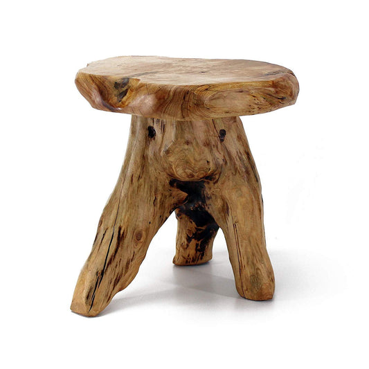 Tree Stump Stool Live Edge, Natural Edge Side Table, Plant Stand, Nightstand, Mushroom Stool 14" Tall