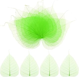 Set of 100 Small Green Skeleton Leaves for Crafts