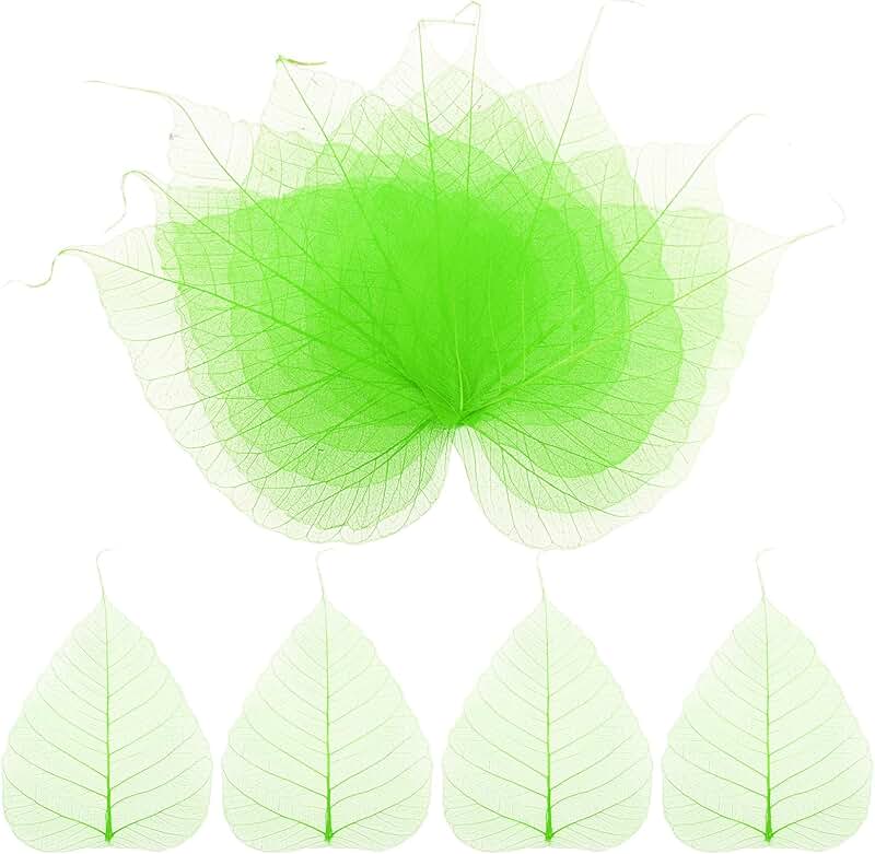 Set of 100 Small Green Skeleton Leaves for Crafts