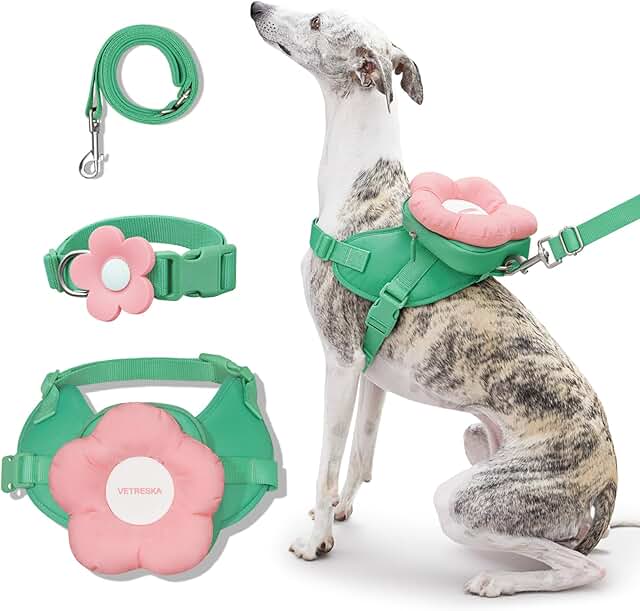 Flora Dog Harness, Leash, and Collar Set