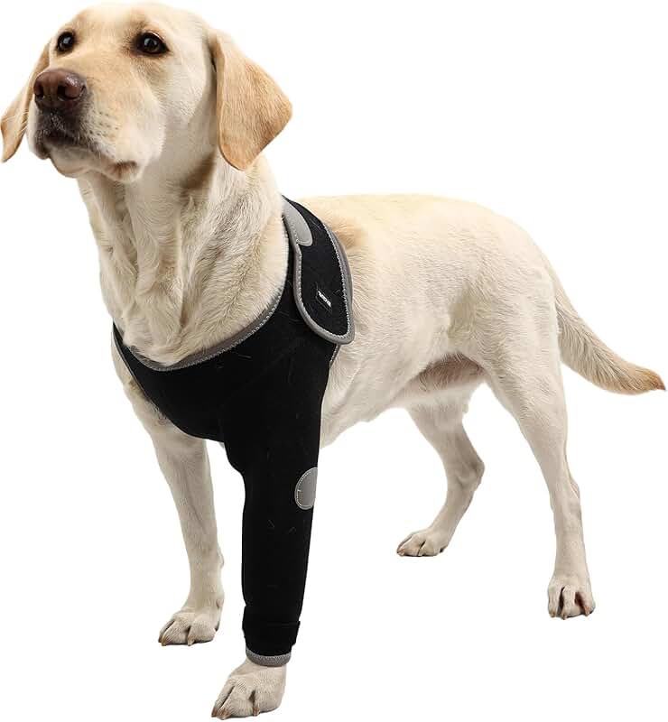 Dog Recovery Suit for Wounds and Comfort