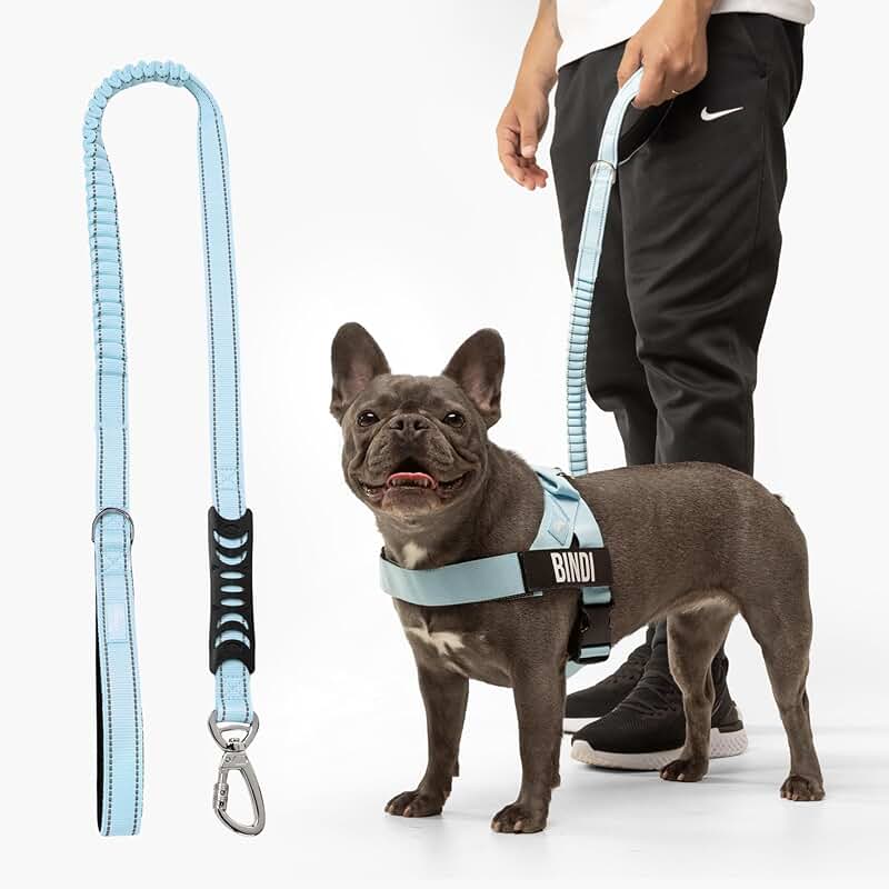 Bungee Dog Leash with Shock Resistance and Handle