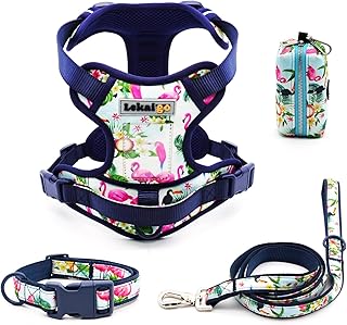 Dog Harness and Leash Set with Poop Bag Holder