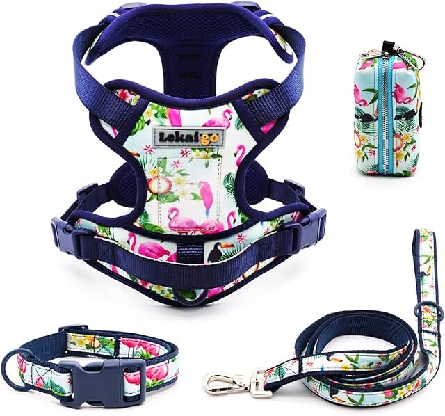 Dog Harness and Leash Set with Poop Bag Holder