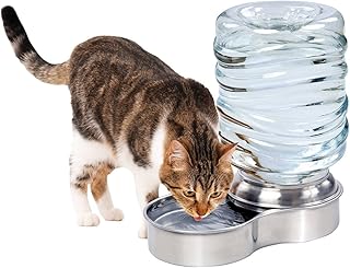 Stainless Steel Pet Water Fountain, 3-Liter Capacity