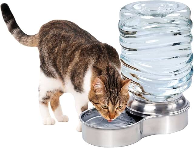 Stainless Steel Pet Water Fountain, 3-Liter Capacity