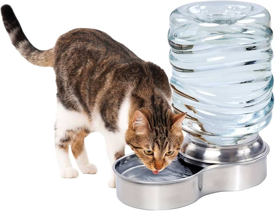 Stainless Steel Pet Water Fountain, 3-Liter Capacity
