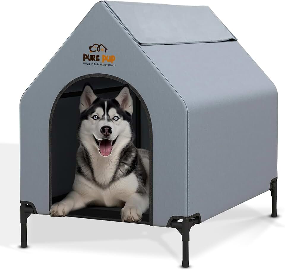 Large Weatherproof Outdoor Dog House with Canopy