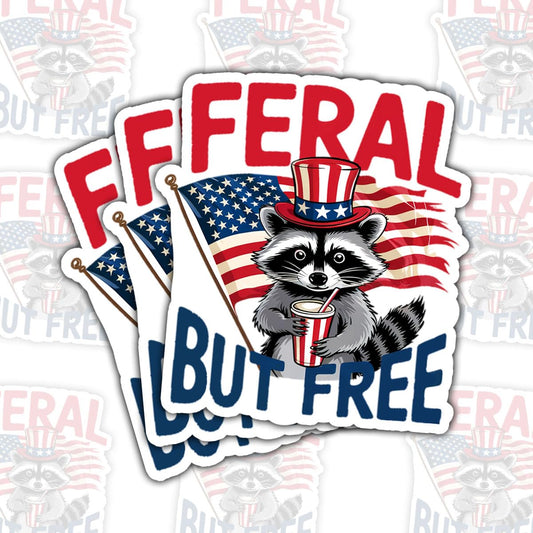 Set of 3 Raccoon Patriotic 4th of July Stickers