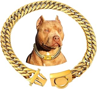 Gold Dog Collar 16MM Cuban Link 24 Inch