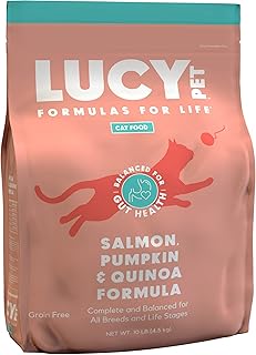 Cat Food with Salmon, Pumpkin, and Quinoa, 10lb
