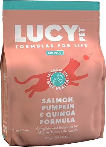 Cat Food with Salmon, Pumpkin, and Quinoa, 10lb