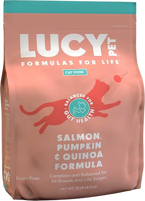 Cat Food with Salmon, Pumpkin, and Quinoa, 10lb