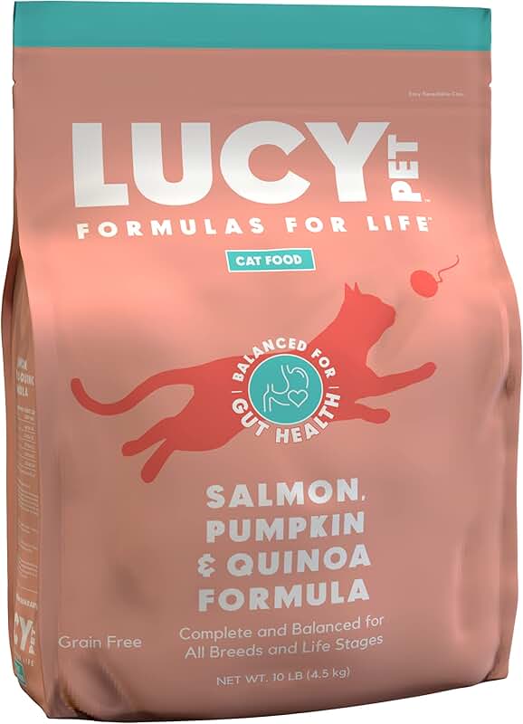 Cat Food with Salmon, Pumpkin, and Quinoa, 10lb