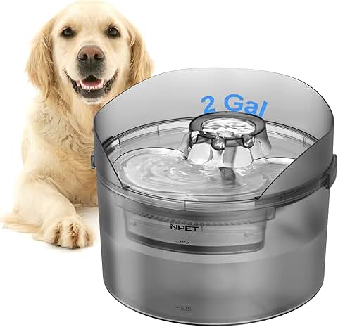 Large Automatic Dog Water Fountain with Splatter Guard