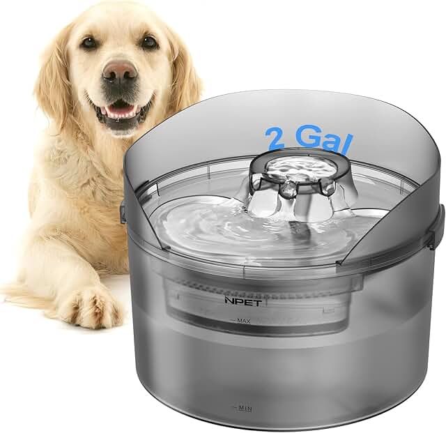 Large Automatic Dog Water Fountain with Splatter Guard