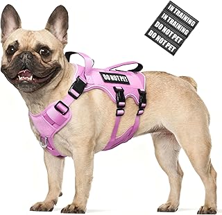 Escape Proof Dog Harness with Handles and Patches
