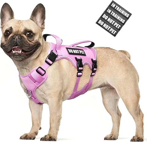 Escape Proof Dog Harness with Handles and Patches