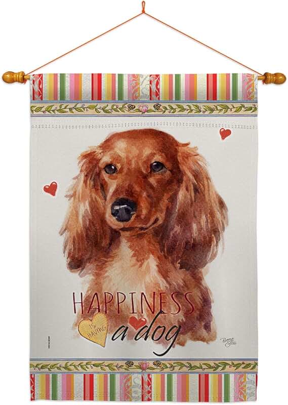 Long Hair Dachshund House Flag with Dowel Set