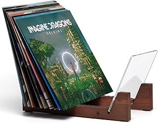 Wood and acrylic record storage holder for 50 albums