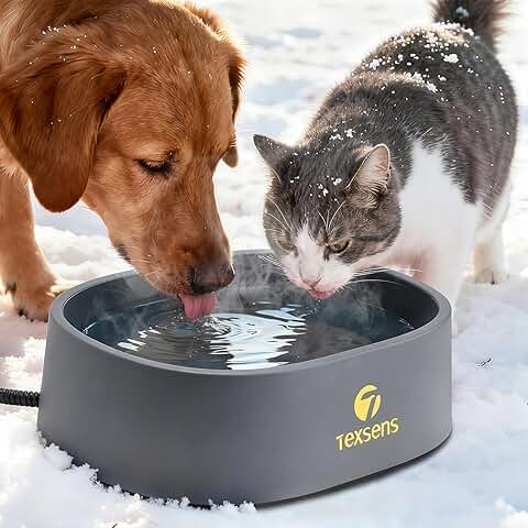 Heated Water Bowl for Large Dogs and Pets