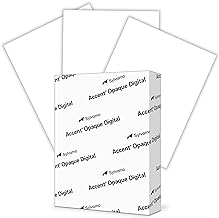 White 8.5x11 Printer Paper, 250 Sheets
