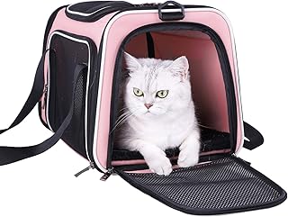 Soft Pet Carrier for Medium Cats and Small Dogs