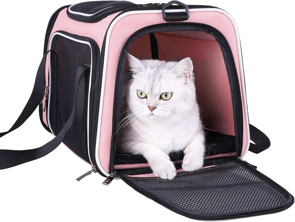 Soft Pet Carrier for Medium Cats and Small Dogs