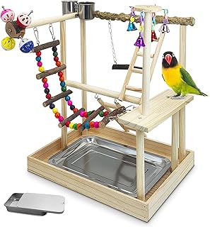 Bird Playground with Perch, Toys, and Swing