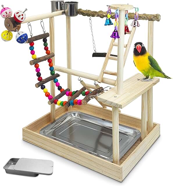 Bird Playground with Perch, Toys, and Swing
