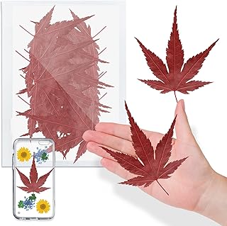 Natural Dried Maple Leaves for Resin, 42 Pieces