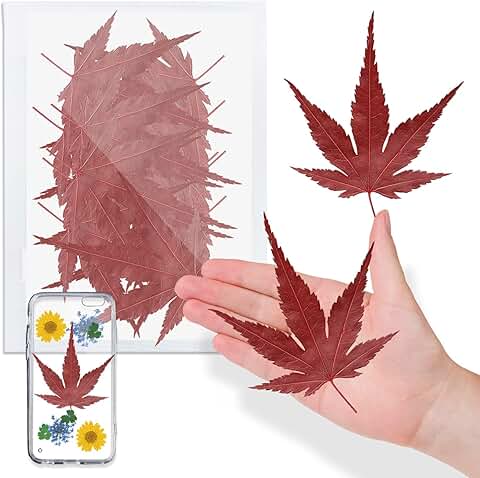 Natural Dried Maple Leaves for Resin, 42 Pieces