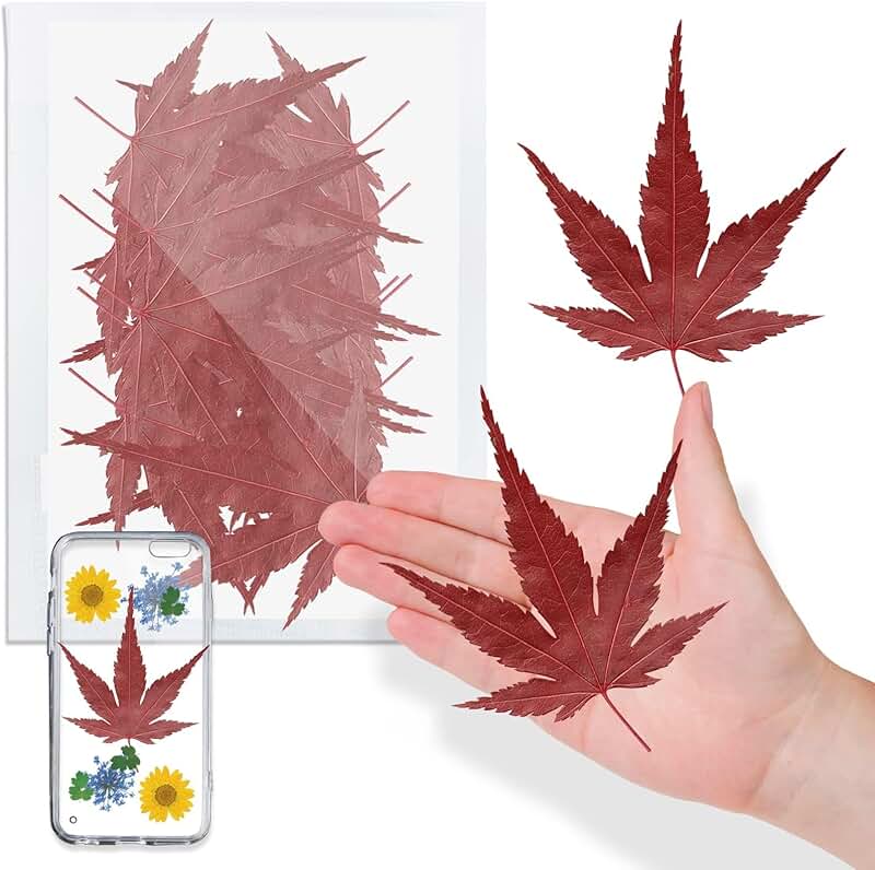 Natural Dried Maple Leaves for Resin, 42 Pieces