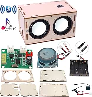 DIY Bluetooth Speaker Kit for Kids and Adults