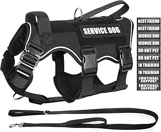 Heavy Duty Dog Vest and Leash Set for Large Dogs