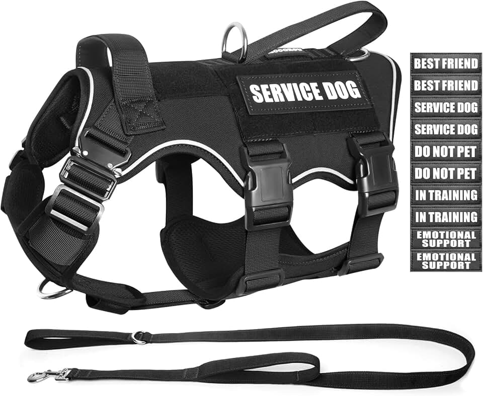 Heavy Duty Dog Vest and Leash Set for Large Dogs