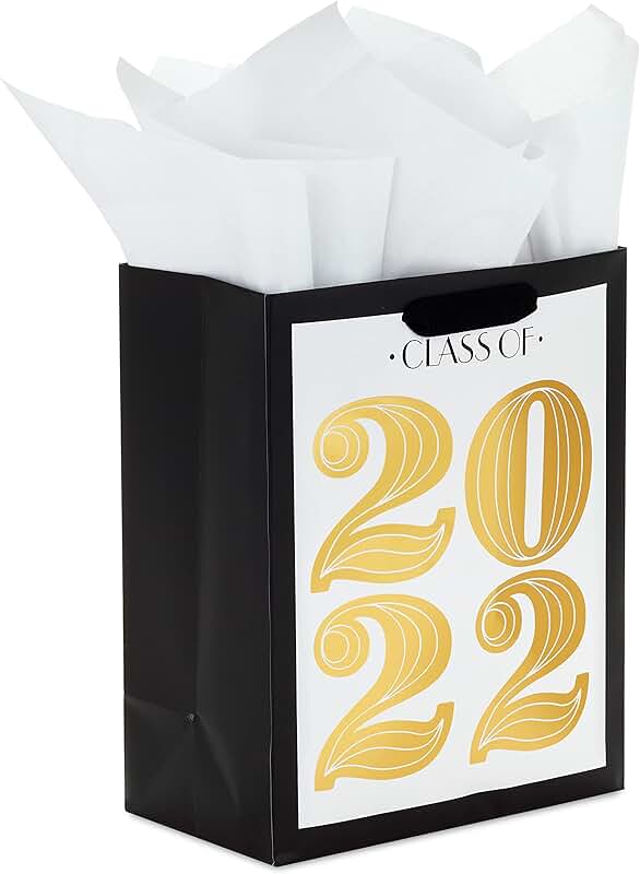 9-inch Black and Gold Graduation Gift Bag with Tissue Paper
