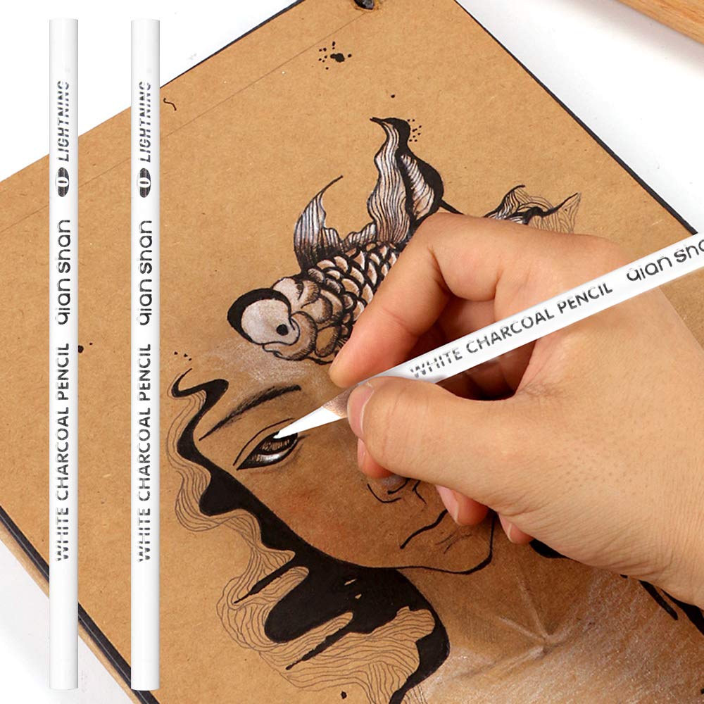 2 Pcs White Sketch Charcoal Pencils